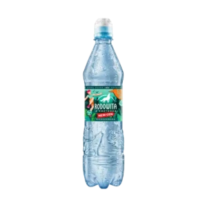 Rodowita Sport Naturalna Woda Mineralna Niegazowana 600 ml